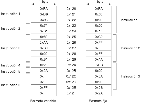 Almacenamiento de instrucciones en formato fijo y variable