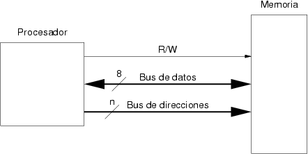 Seales que conectan el procesador y la memoria